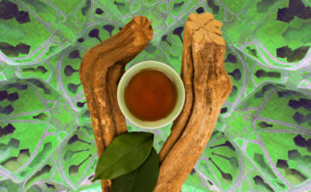 A Few Reasons To Go For An Ayahuasca Treat